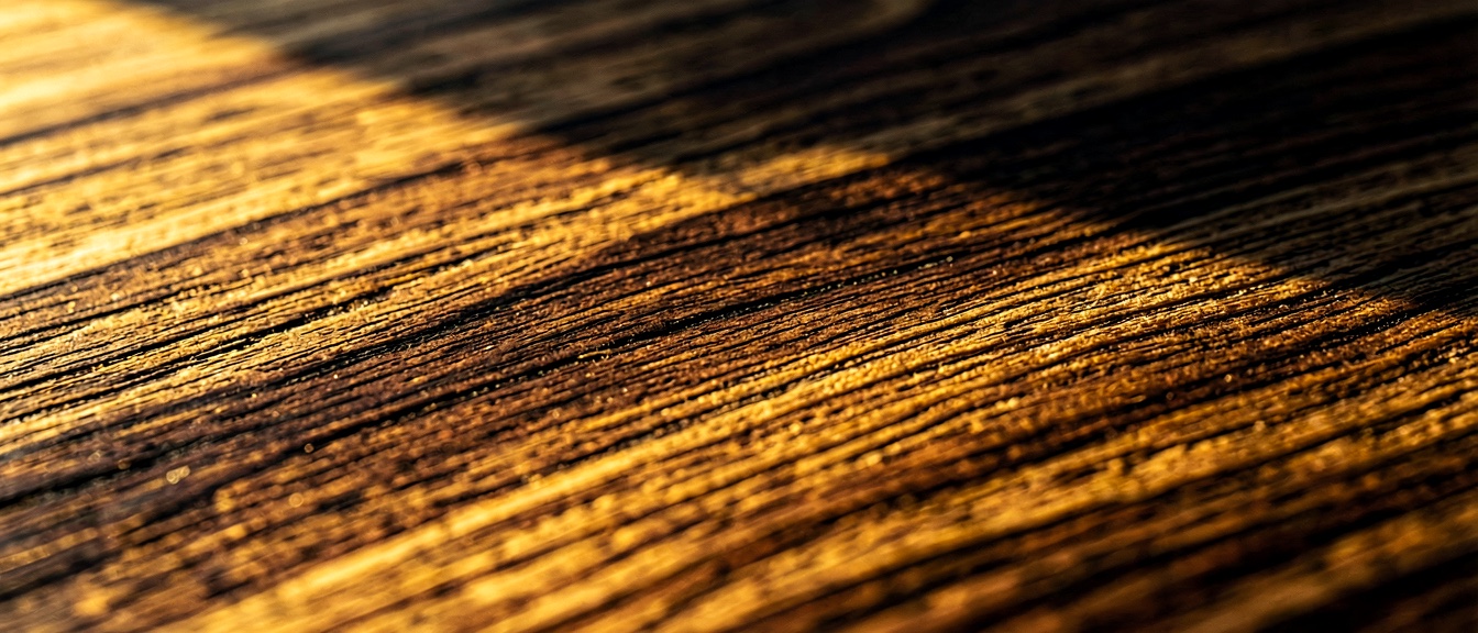 Extreme macro of European oak grain in golden-hour light